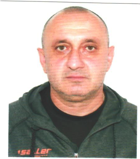 დავით ჯანაშია